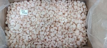 FROZEN SHRIMPS PUD 100/200 NC FW 35% GLAZE Quality A Grade Package Size 1 Kg Or 500gm Origin United Arab Emirates Minimum Order Quantity - EAST FISH PROCESSING LLC - United Arab Emirates