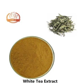 White Tea Extract 10:1 20:1 30:1 Brown Yellow Powder Food Medicine Grade ROHS BRC HACCP - Hefei July Biotechnology Co., Ltd. - China