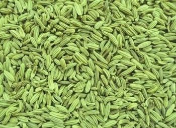 Fennel Seeds (Premium Export Quality) - AGROCARTE EXIM ENTERPRISES PVT LTD - India
