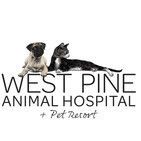 Product - West Pine Animal Hospital and Pet Resort - United States