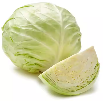 FRESH CABBAGE Packaging 5kg Place of Origin - PT ADI GROUP JAYA - Indonesia