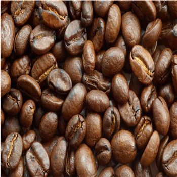 Handpicked Robusta Coffee Bean For Strong Flavor Profile Premium Robusta Coffee Bean For Wholesale Buyers from malter group Handpicked Robusta Coffee Bean For Strong Flavor Profile Premium Robusta Coffee Bean For Wholesale Buyers - malter group - Tanzania