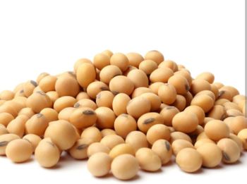 NON-GMO Soybeans
