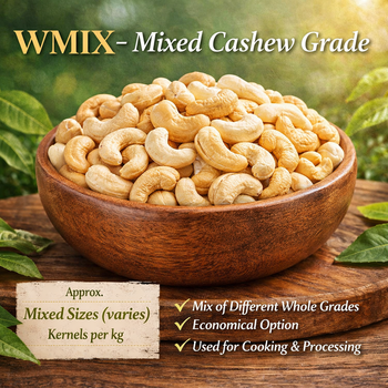 Authentic Konkan Cashew W Mixed Grade| Fresh Graded Cashew Nuts – Oh My Kaju™ - Marquelle Ventures Pvt Ltd - India