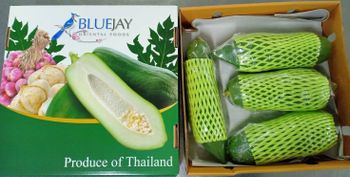 Green Papaya Grade A Color Green Texture Firm Purity Non Gmo Flavor Mildly Sweet Certifications Gap, Gmp, Haccp Type Non GMO Thai Green Papaya - Blue Jay Oriental Foods Thailand Ltd - United Kingdom