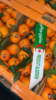 Fresh Orange Thomson Algéria from sarl mega tech solar Fresh Orange Thomson Algéria - sarl mega tech solar - Algeria