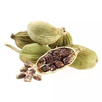 buy bulk green cardamom elaichi pods wholesale price high quality spice for export food industry chai tea and traditional recipesbuy organic green elaichi cardamom pods for sale fresh aromatic spice for tea desserts baking and cooking - SATTER FOOD AND BEVERAGE - Netherlands
