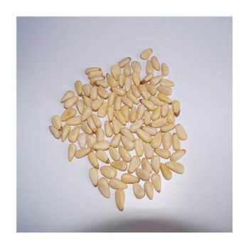 Organic pine nuts pine nuts kernels cheap price Form Whole Features Organic Origin Regional, Worldwide Packaging Size > 250 g - 500 g - Medcompex Gmbh - United Kingdom
