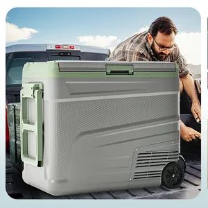 Euhomy Mobile Car Refrigerator for Easy Food Transport Solutions - Ningbo Hoome InformationTechnology Co., Ltd. - China