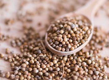 Coriander Seeds from My Trade Global Coriander Seeds - My Trade Global - Turkey
