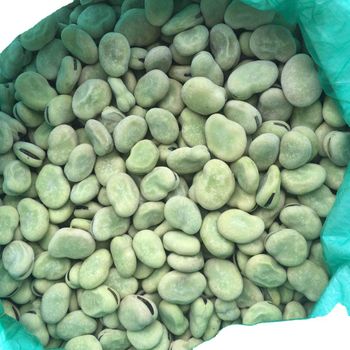 Frozen IQF BROAD BEAN Address no Content no Shape cube Type potato Style FROZEN Weight (kg) 10 Packaging Bulk Ingredients - Qingao Harthn-Ritune Corp., Ltd. - China