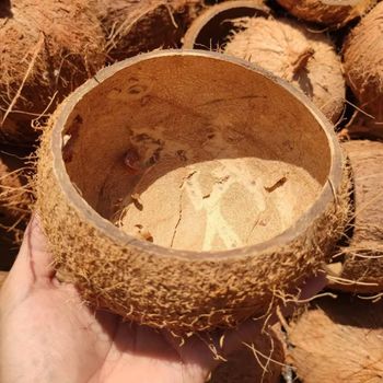 RAW ECO FRIENDLY NATURAL AFRICAN COCONUT SHELL - WHOLESALE VERY CHEAP PRICE WITH HIGH QUALITY- HALF-CUT COCONUT SHELL - AL JABLI TRADING COMPANY LIMITED - Tanzania