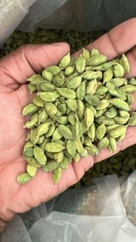 Green cardamom – product photo, Green Cardamom Spice products found from trusted suppliers, wholesalers, manufacturers & exporters Listing