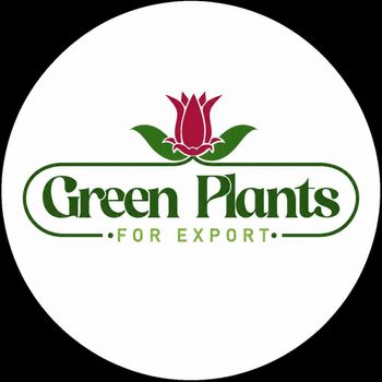 Product – product photo, Frozen Indian Food products found from trusted suppliers, wholesalers, manufacturers & exporters Listing