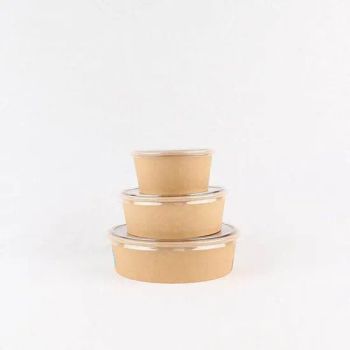 Customized Eco Friendly Disposable 1100ml Packaging Take Away Salad Bowl with Lid - Taizhou Jiashun Commodity Co., Ltd. - China