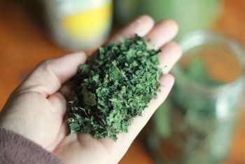 Dried Nettle Leaf Grade FOOD Color FREEN Packaging HDPE BAGS Max. Moisture (%) 8% Shelf Life 24 MONTHS Place of Origin INDIA - ADEPT IMPEX PVT LTD - India