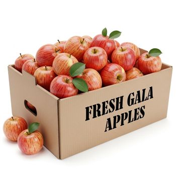 Fresh Gala Apple High Quality Fresh Harvest With Refreshing Flavor Profile For Distributors Retailers And Importers - TOSOH INTERNATIONAL - South Africa