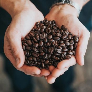 Buy Arabica Coffee Beans High Quality Fresh Roasted Beans With Smooth Taste And Strong Aroma Buy Fast Delivery Premium Quality Wholesale Naturally Ideal For Espresso And Filter - wood traders - Poland