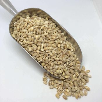 Organic Barley Grain Carefully Processed High Purity Bulk Export Supply For Wholesale Buyers from THE GREEN INTERNATIONAL LIMITED Organic Barley Grain Carefully Processed High Purity Bulk Export Supply For Wholesale Buyers - THE GREEN INTERNATIONAL LIMITED - Tanzania
