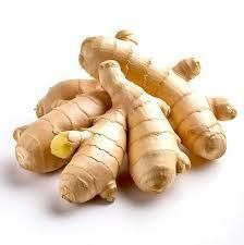 Fresh Ginger Buyer Dried Ginger Origin Netherlands Shelf Life 2 YEARS Color Natural Yellow Place of Origin THAILAND tran - Thai Agri Company - Thailand