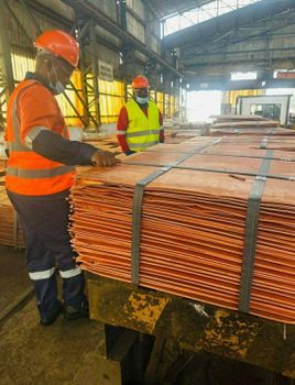 Copper Cathode Copper Purity 99.97 - BF GLOBAL TRADING (PTY) LTD - South Africa