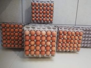 Fresh Brown Table Eggs Chicken Eggs / Fresh Chicken Table Eggs Brown and White - S-SQUAD - France