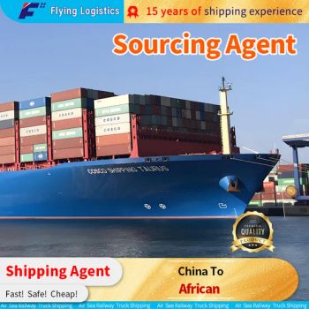 Sea Freight LCL/Shipping Service/Logistics/Agent/Shipping Forwarder/LCL From China to African - SHENZHEN FLYING INTERNATIONAL FREIGHT FORWARDER CO., LTD - China