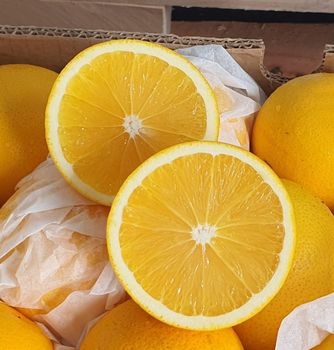 Fresh Quality Valencia Oranges for sale - NINE FRUITS EXPORTS (PTY) LTD - South Africa