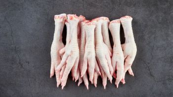 Chicken Paw - karaj Company - Iran