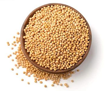 High Quality Good Price Of Dried Top Yellow And White Mustard Seeds Mustard Seed Wholesale Cheap Price From Bangladesh - CHIRONTON TRADING CO. - Bangladesh