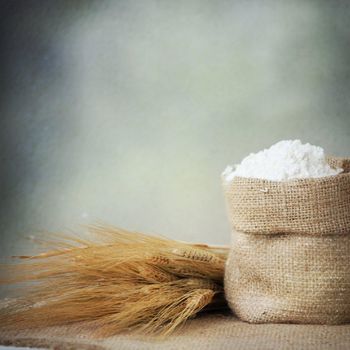Refined Wheat Flour With Excellent Quality For Professional Chefs And Bakery Enterprises - THE GREEN INTERNATIONAL LIMITED - Tanzania