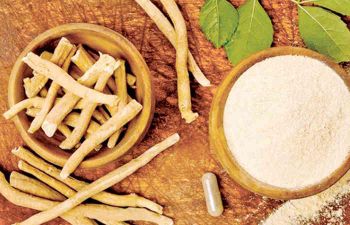 ASHWAGANDHA  ROOT  POWDER(Withania somnifera)/ Extracts Max. Moisture (%) 8% Packaging AS NEEDED BY BUYERS Type 100% NATURAL,100% NON -GMO,PRESERVATIVE FREE,CHEMICAL FREE,100% - GURU HERBS AND AYURVEDA - India
