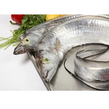 Frozen Ribbon Fish Deep Sea Harvest Product Featuring Rich Nutritional Benefits For Wholesale Seafood Markets - TOSOH INTERNATIONAL - South Africa