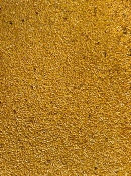 Golden Flaxseed – Oil Content 40% – FOB Supply - Natalia Global Export - Germany