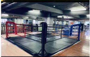 Boxing Ring Sports Students Boxing Floor Style Octagonal Cage Fighting Cage Floor Table Sanda MMA Fighting Training - Guang Zhou Zheng Hao Fintess Equipment Factory - China