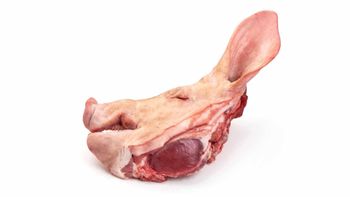 Frozen Pork Head For Meat Distribution Businesses High Demand Pork Head Product For Global Food Service Operations - TRADECENTRIC LLC - United States