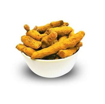 High Quality Erode Variety Curcuma Longa Dried Turmeric Finger - Exigentelaxia Unipessoal Lda - Portugal