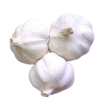 Fresh Garlic for Wholesale Fresh Garlic Packed with Care to Keep Aroma and Freshness for Global Buyers from AGRO AFRIQUE COMPANY LIMITED Fresh Garlic for Wholesale Fresh Garlic Packed with Care to Keep Aroma and Freshness for Global Buyers - AGRO AFRIQUE COMPANY LIMITED - Tanzania