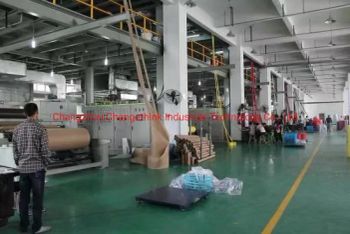 PP Nonwoven Fabric for Nonwoven Bag - Changzhou Changethink Industrial Technology Co., Ltd - China