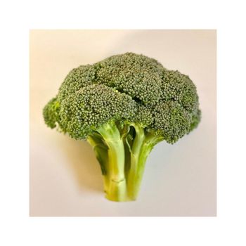 High quality broccoli harvested and packed for inter-national fresh vegetable markets - afrivett@gmail.com - South Africa