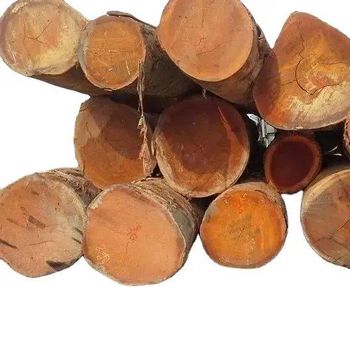 Teak Wood Log wholesale Origin Europe Pricing Best Price Quality High Quality Delivery Fast Delivery Availability 24/7 - NUTRIDIET LDA - United Kingdom