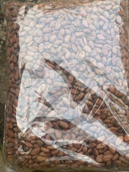 Cocoa beans – product photo, Fermented Cocoa Beans products found from trusted suppliers, wholesalers, manufacturers & exporters Listing