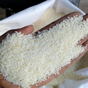 100% Broken rice from TREVEX INTER CO.,LTD 100% Broken rice - TREVEX INTER CO.,LTD - Thailand