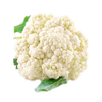 Egypt Quality Fresh Cauliflower Style Fresh Weight (kg) 1.5 Certification BV Place of Origin Egypt Cultivation Type - EL YAPANY FOR TRADE AND GENERAL IMPORT & EXPORT - Egypt