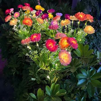 Solar Garden Lights Christmas Yard Decorations Solar Lights Garden Peony - Zhongshan Grandview Lighting Co., Ltd. - China
