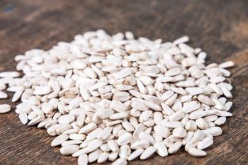 Dried Lotus Seed Best Price Vietnam -  99 Gold Data Processing Trading Company Limited  - Vietnam
