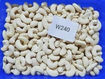 Raw Cashew Nuts Style Dried Inspection Sgs Broken Pieces 5% Max Foreign Matter 1% Max Moisture Content 7% Max Packaging 80 Kg Jute - NUTRIDIET LDA - United Kingdom