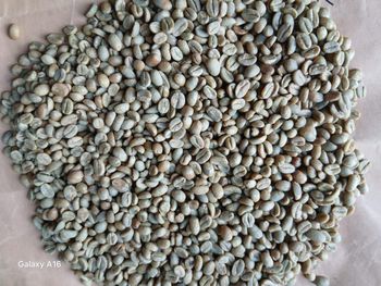 ETHIOPIAN ARABICA GREEN COFFEE BEANS - NUR FOR ALL TRADING P[LC - Ethiopia