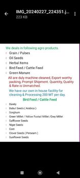 Safflower seed Purity 99% Packaging 30kg Pp Bag Weight Per Container 30kg Shipping Capacity 18 Mt Per - Shreeji Impex - India