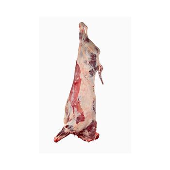 Frozen Buffalo Boneless Meat Beef Frozen Beef Carcass/Frozen Beef Cuts - BMU TRADING GMBH - Germany